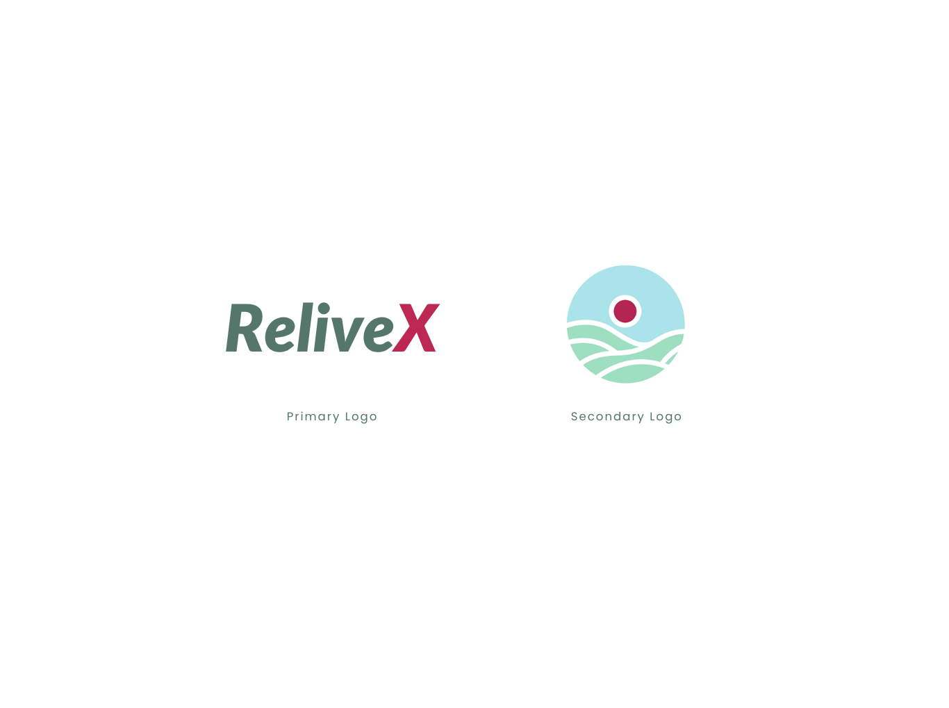 ReliveX Primary and Secondary Logo